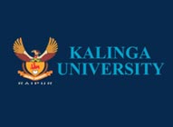 Kalinga University BCA College Raipur