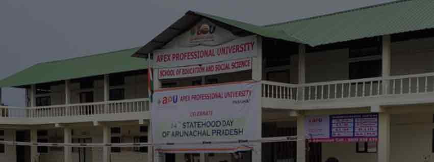 Apex Professional University, Pasighat Admission 2025