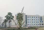 Government Engineering College, Nawada