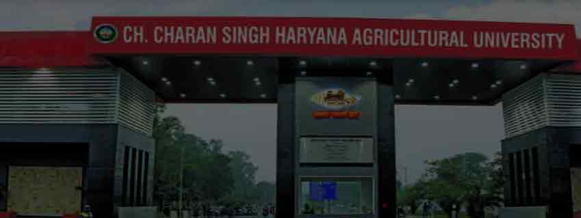 CCS Haryana Agricultural University - College of Agricultural Engineering And Technology Hisar Admission 2025