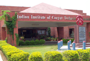 Indian Institute of Carpet Technology, Bhadohi  