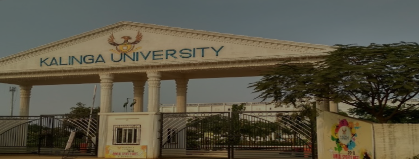 Kalinga University - Faculty of Pharmacy, Raipur Admission 2025