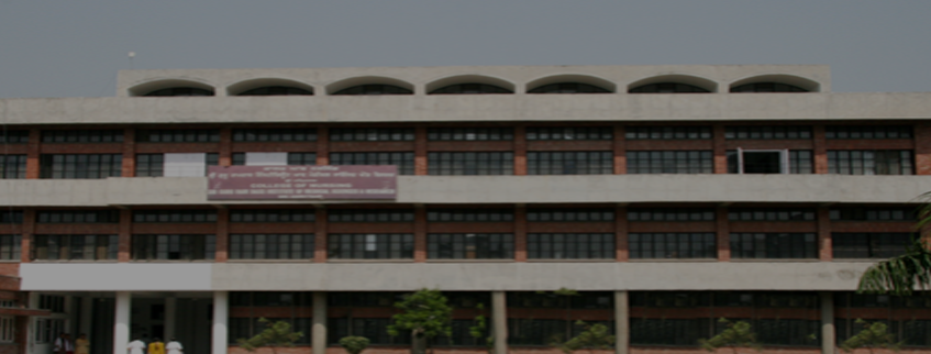 Sri Guru Ram Das College of Nursing, Vallah, Sri Amritsar Admission 2025