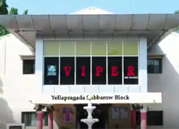 Vishnu Institute of Pharmaceutical Education and Research, Medak